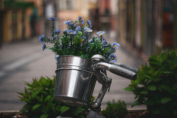 flowers in a watering can