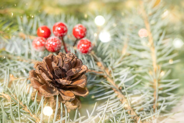 Christmas background with fir branches,pine cones and berries. A fir cone in close-up on the background of a Christmas tree. Horizontal photo with small depth of field, selective focus, copy space