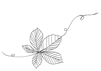 background with leaves minimal line lineart leaf