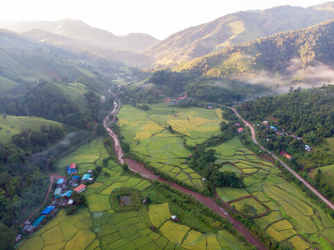 Aerial view of agriculture in paddy rice fields for cultivatio, agricultural land with green in countryside, Agriculture concept growing rice plants in nan province, Thailand. Nature Aerial footage