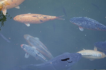 94072 Bad F&uuml;ssing