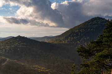 Blick auf den Rehberg im Pfälzerwald (Okt 2021)