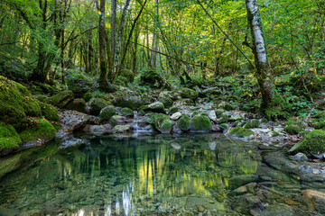 Forest at the Kot waterfalls, Friuli Venezia Giulia © Denis Scarpante/Wirestock