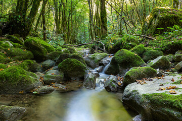 Kot waterfalls, Friuli Venezia Giulia © Denis Scarpante/Wirestock