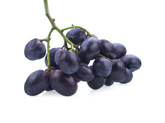 Grapes. Red grape. Grape branch isolated on white. With clipping path. Full depth of field.
