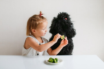 Cute kid girl with dog eating broccoli. The concept of proper healthy nutrition, children and pets. Child and black poodle with vegetables. A child feeds a poodle, an uneducated dog - obrazy, fototapety, plakaty