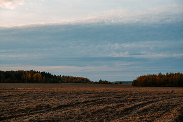 landscape in the morning