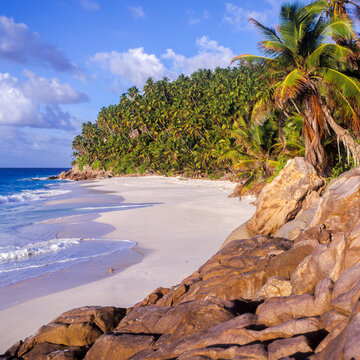 Seychelles/Fr&eacute;gate Island; Anse Victorin