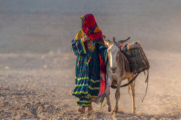 a shepherdess or shepherd woman in traditional colourful dress and a donkey in the desert ,
koochi...