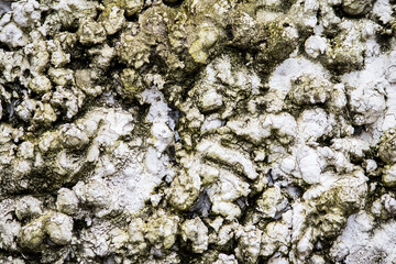 Destroyed shabby wall. Texture of cracked peeling plaster and paint. Facade of abandoned building.