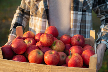 man with boxes of apples