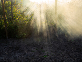sunbeams in smoke from burning plants over garden in autumn