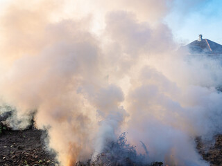 clouds of smoke over burning cut stems of plants in home garden in autumn twilight