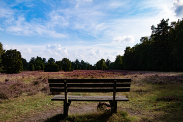 Ein Ort zum Entspannen in der wundersch&ouml;nen, bl&uuml;henden Heidelandschaft