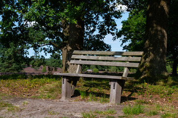 Ein Ort zum Entspannen in der wundersch&ouml;nen, bl&uuml;henden Heidelandschaft