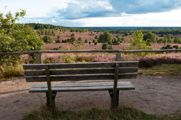 Ein Ort zum Entspannen in der wunderschönen, blühenden Heidelandschaft