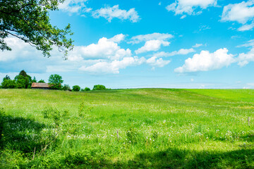 warmia mazury warmińsko-mazurskie pole pola łąka stodoła wieś wioska sielsko farma obszar wiejski pastwisko zielono zieleń rolnictwo - obrazy, fototapety, plakaty
