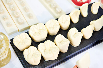 Models of  teeth human for dentistry