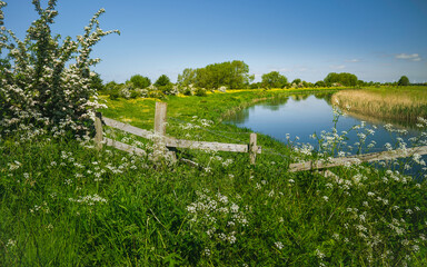 River Hull flanked by wild flowers and rotting fence under blue sky in spring. Beverley, UK.