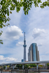 高層ビル群　高速道路　葉っぱ