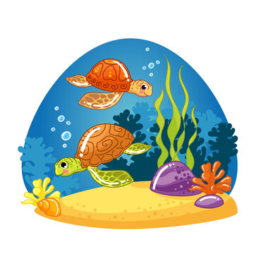 Turtle. Vector illustrations. cartoon painted coral reef, underwater world, cute turtle