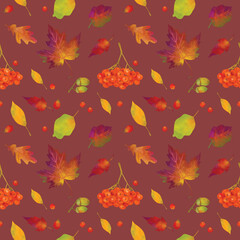Seamless pattern of maple leaf, rowan berries, oak leaves and acorns. Autumn background with colorful autumn leaves.