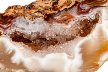 Fototapeta premium Macro mineral stone agate kidney gerbera on white background close up