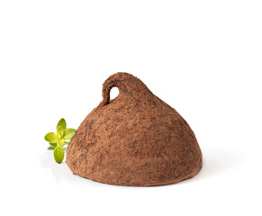 Homemade chocolate truffle with cocoa powder isolated on white