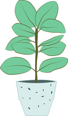 plant art illustration design minimalism