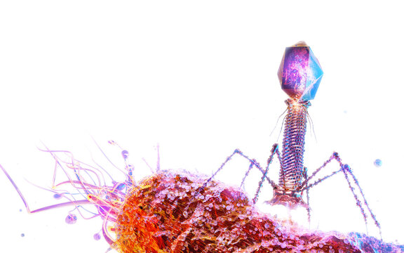 Bacteriophage virus attacking and infecting bacteria. Phage virus T4 infects and replicates within a bacterium by injecting DNA. Infectious disease, cell phage therapy 3d medical science illustration