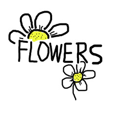 daisy flower typography flat design illustration