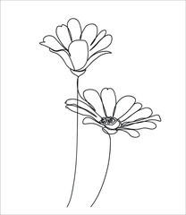 Abstract Daisies one line drawing on white background. One-line drawing. Continuous line. Vector Eps10