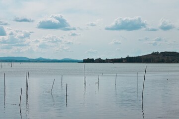 Branches and bamboo canes that emerge from the surface of the Trasimeno lake (Umbria, Italy, Europe) - 462886776