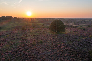 Aerial from a beautiful sunset in National Park De Hoge Veluwe in the Netherlands