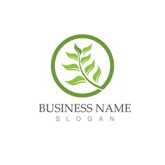 Fototapeta premium Logos of green Tree leaf ecology