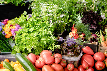 Assorted vegetables straight from the farm to restaurant