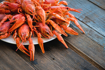 Boiled crawfish on the plate on the wooden table background.