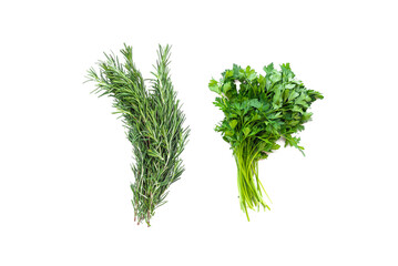 Green rosemary and parsley stems isolated on the white background.