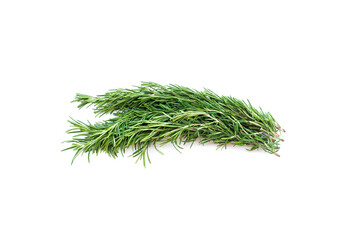 Green rosemary stems isolated on the white background.
