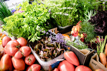 Assorted vegetables straight from the farm to restaurant