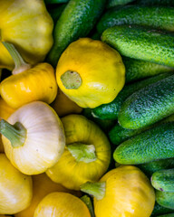 Assorted vegetables straight from the farm to restaurant