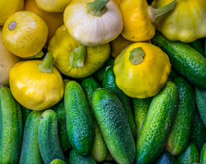 Assorted vegetables straight from the farm to restaurant