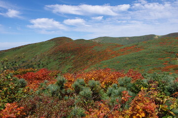 紅葉の岩手のトレイル