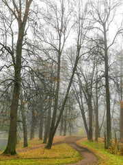 autumn in the park