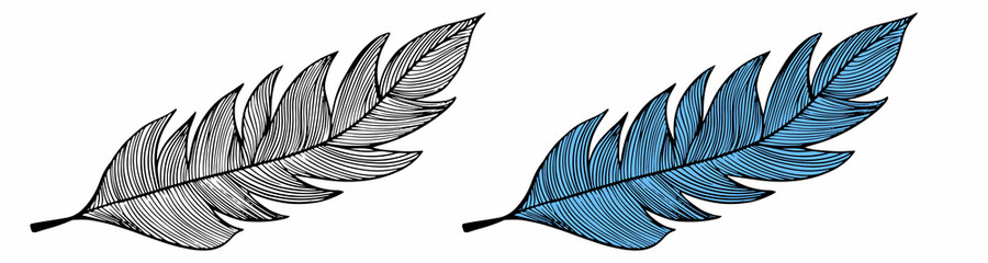 Hand drawn feather drawing design elements on white background, Wedding invite elements