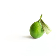 A green lime with a sprig and a leaf lies on a white kitchen table