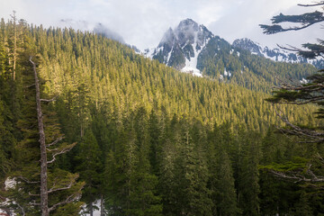 Lane Peak and Denman at Mount Rainier National Park in Washington State during Spring. View from Paradise Road. 