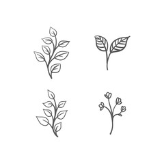 Hand drawn floral ornaments. Branches and leaves doodle collection. Decorative plants illustrations.