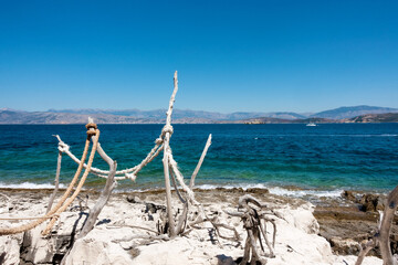 Fototapeta na wymiar Tree branches forming artistic figures in the north-east cape of Corfu island, in Erimitis forest