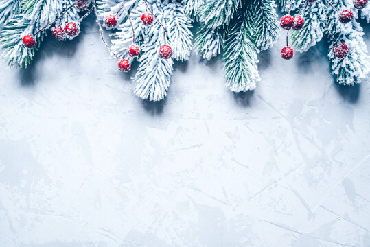 Christmas background of snow-covered branches with berries.